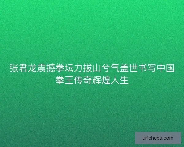 张君龙震撼拳坛力拔山兮气盖世书写中国拳王传奇辉煌人生